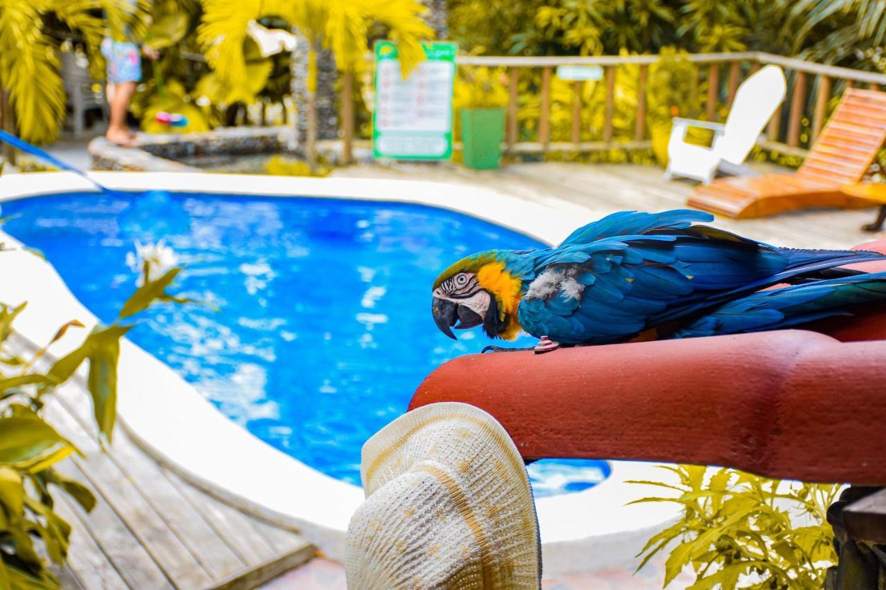Casa Hostal Villa Del Rio El Zaino Eksteriør bilde